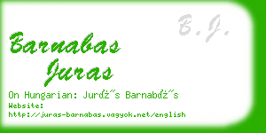 barnabas juras business card